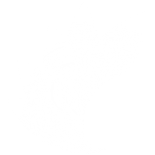 Logo EJIFAR